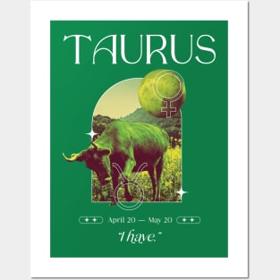 I have Taurus Zodiac Sign Posters and Art